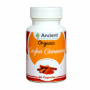 Organic Ceylon Cinnamon - Dalchini Capsules from Ancient Nutraceuticals in Bulk for Wholesale Price
