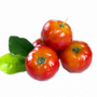 Acerola Juice Powder 12% Vit. C, Organic