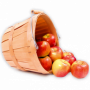 Apple Juice Powder Organic