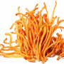 Cordyceps Mushroom Powder (organic)
