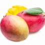 Mango Fruit Powder, Organic