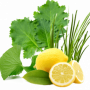 Green Balance Alkalizing Blend®, Organic