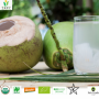 Organic King Coconut Water
