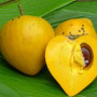 Lucuma Powder, Organic