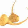 Maca root powder and MacaXtra ®, Organic