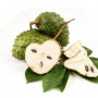 Dehydrated soursop