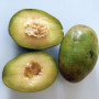 Organic June Plum Fruit Powder from Sri Lanka buy bulk