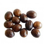 Premium quality Organic Nutmeg (with Shell) from Sri Lanka
