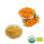 Organic Sea Buckthorn Powder
