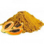 Organic Papaya Powder - Premium Fruit Powder in Bulk from Ceylon