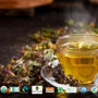 Wellness Teas