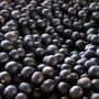 Acai Organic Powder