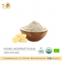 Premium Quality Young Jack Fruit Flour from Sri Lanka