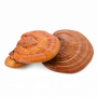 Reishi Powder, Organic