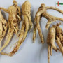 Organic Panax Ginseng Root